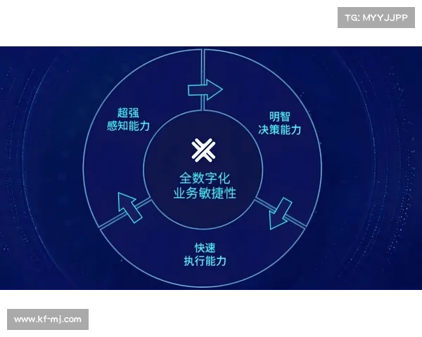 青云辅助企业创新能力提升助力数字化转型与可持续发展战略执行 青云辅助企业创新能力提升助力数字化转型与可持续发展战略执行