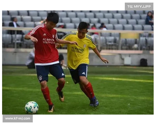 安联赞助商在体育与社会责任领域的功能与深远意义探讨